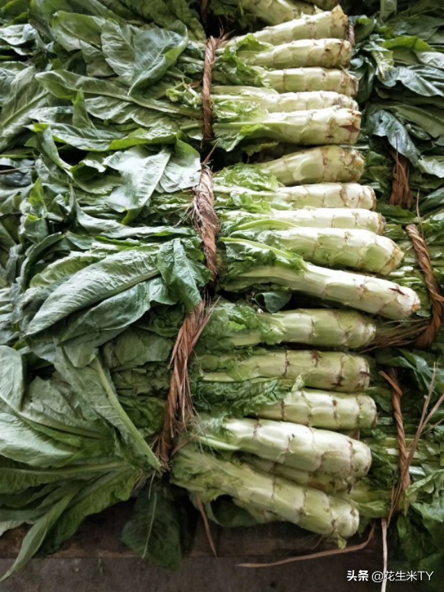 重庆双福今日国际果蔬批发价 (重庆双福11月蔬菜价格)