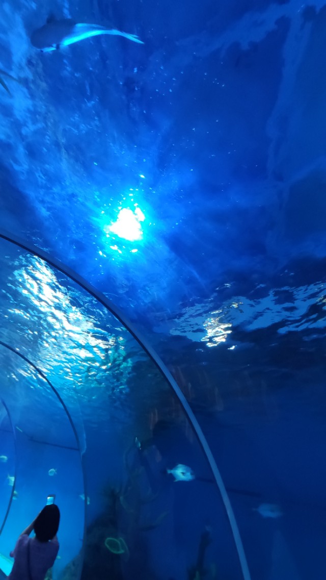 福州欧乐堡海洋世界家庭套票团购,福州欧乐堡海洋世界门票价格