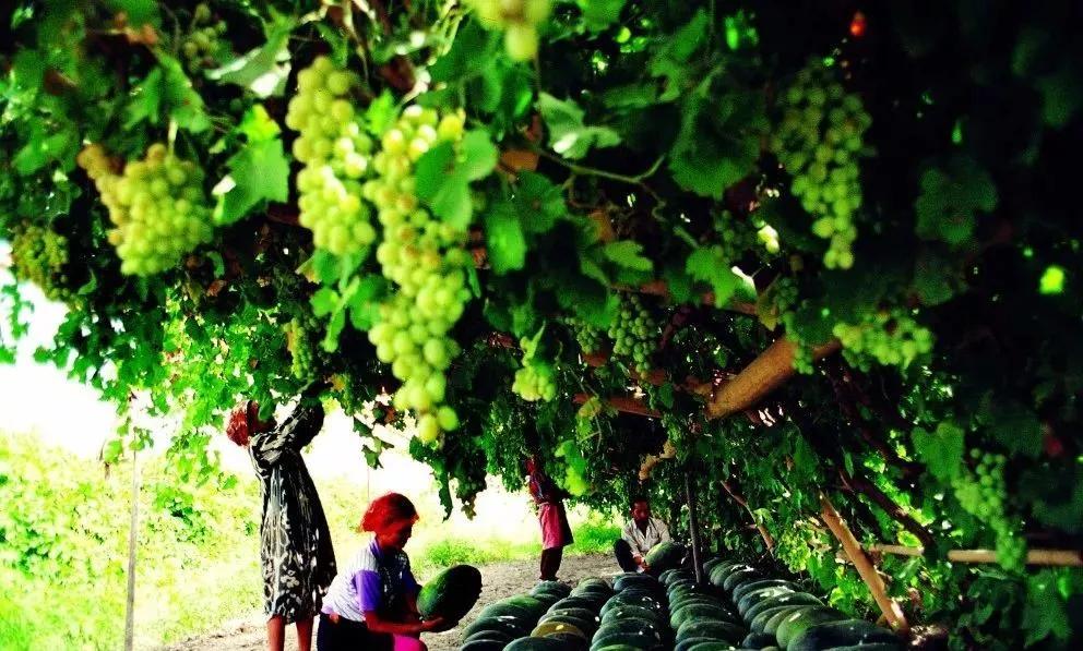 新疆广袤的沙漠地下真的有暗河吗,新疆的沙漠有一个大洞