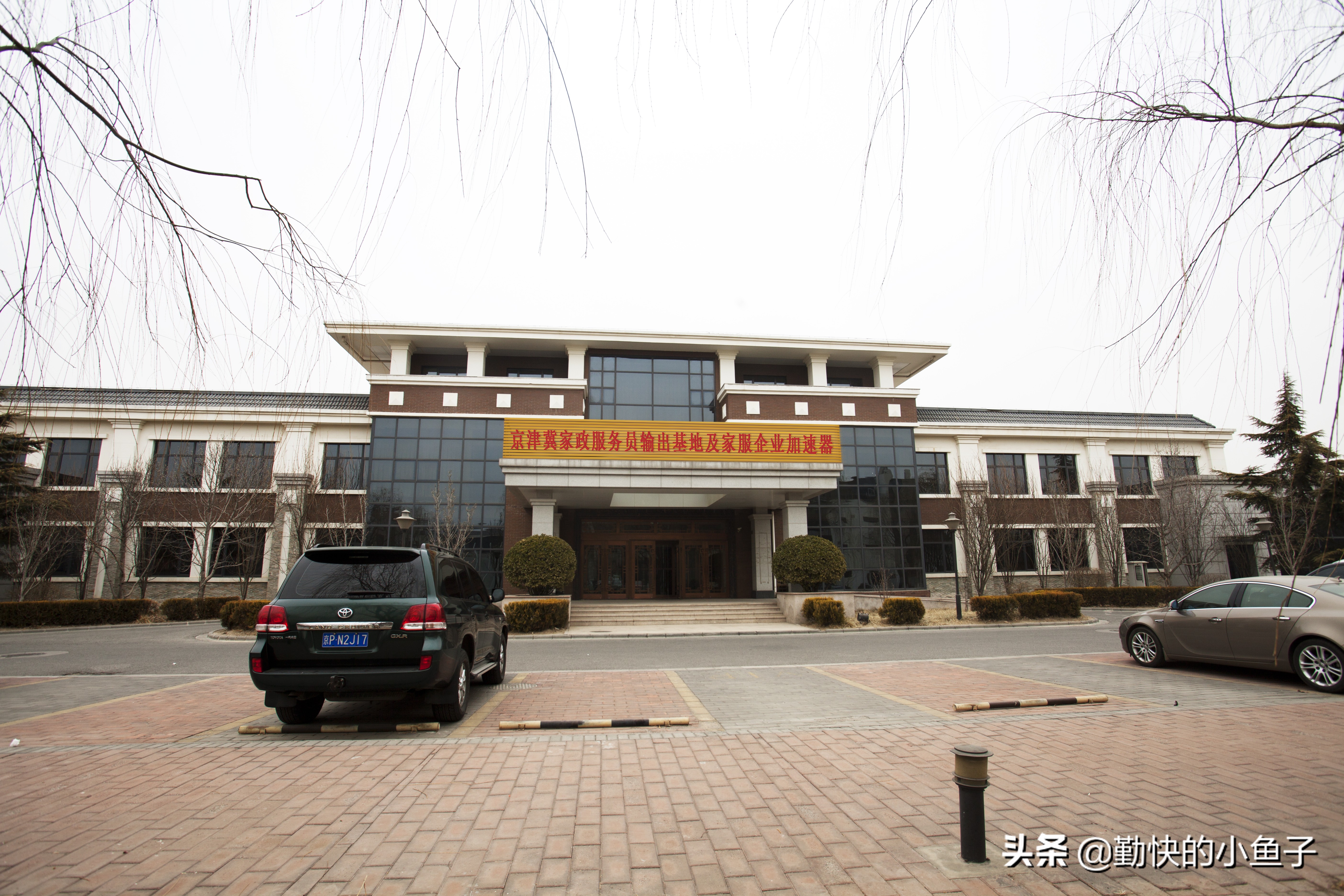 北京家政服务平台招商入驻,北京家政全国招商项目