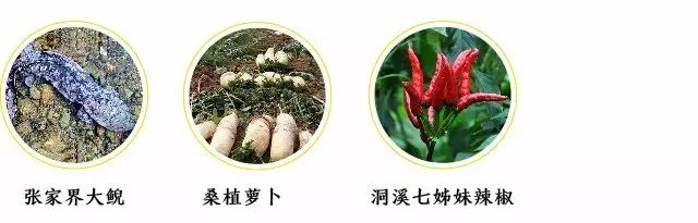 湖南隐藏款土特产有哪些,湖南受保护特产