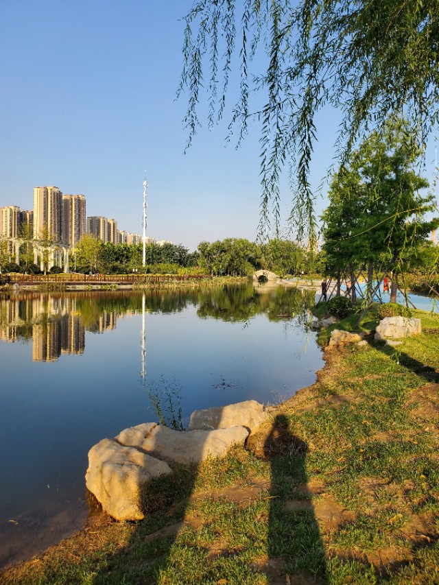 老憨妞视频,老憨妞的所有视频