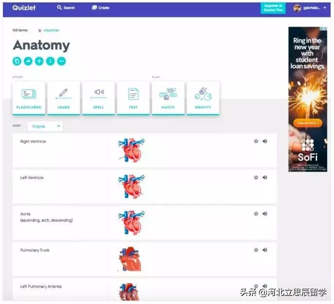 赴美留学在线咨询,靠谱的去美国留学网站