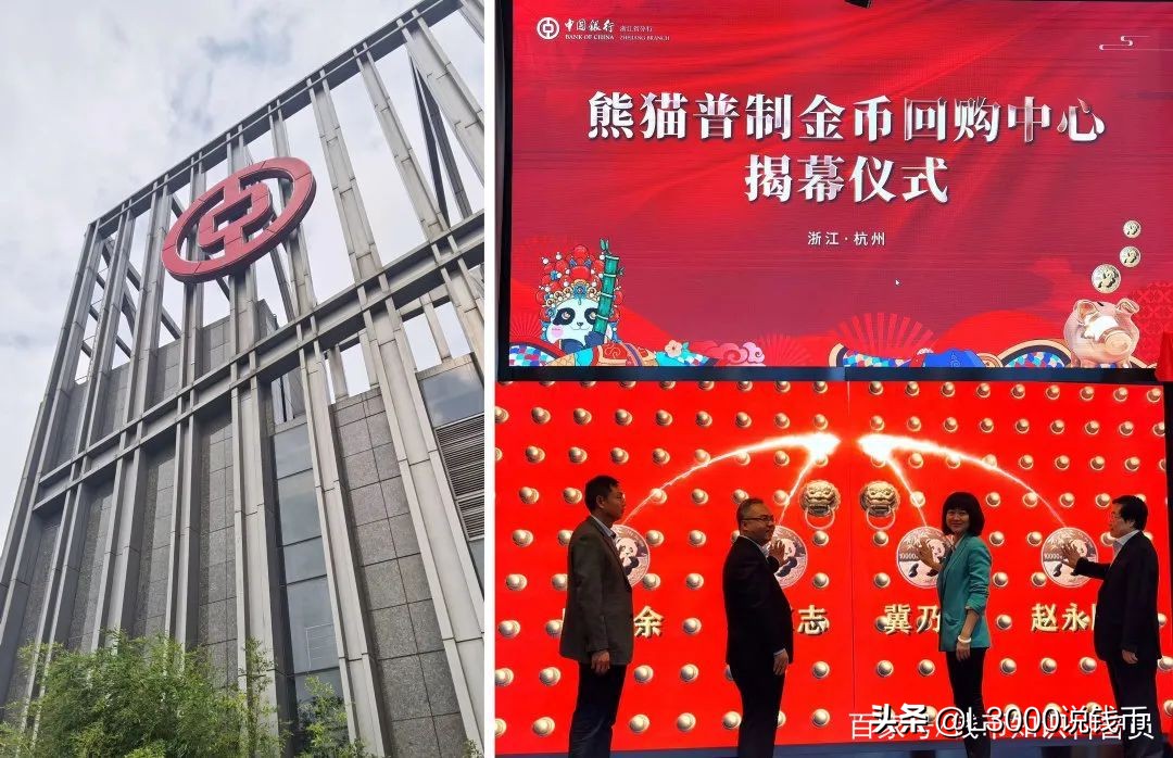 「金总云商」2021年让我们继续收集熊猫宝宝的幸福瞬间