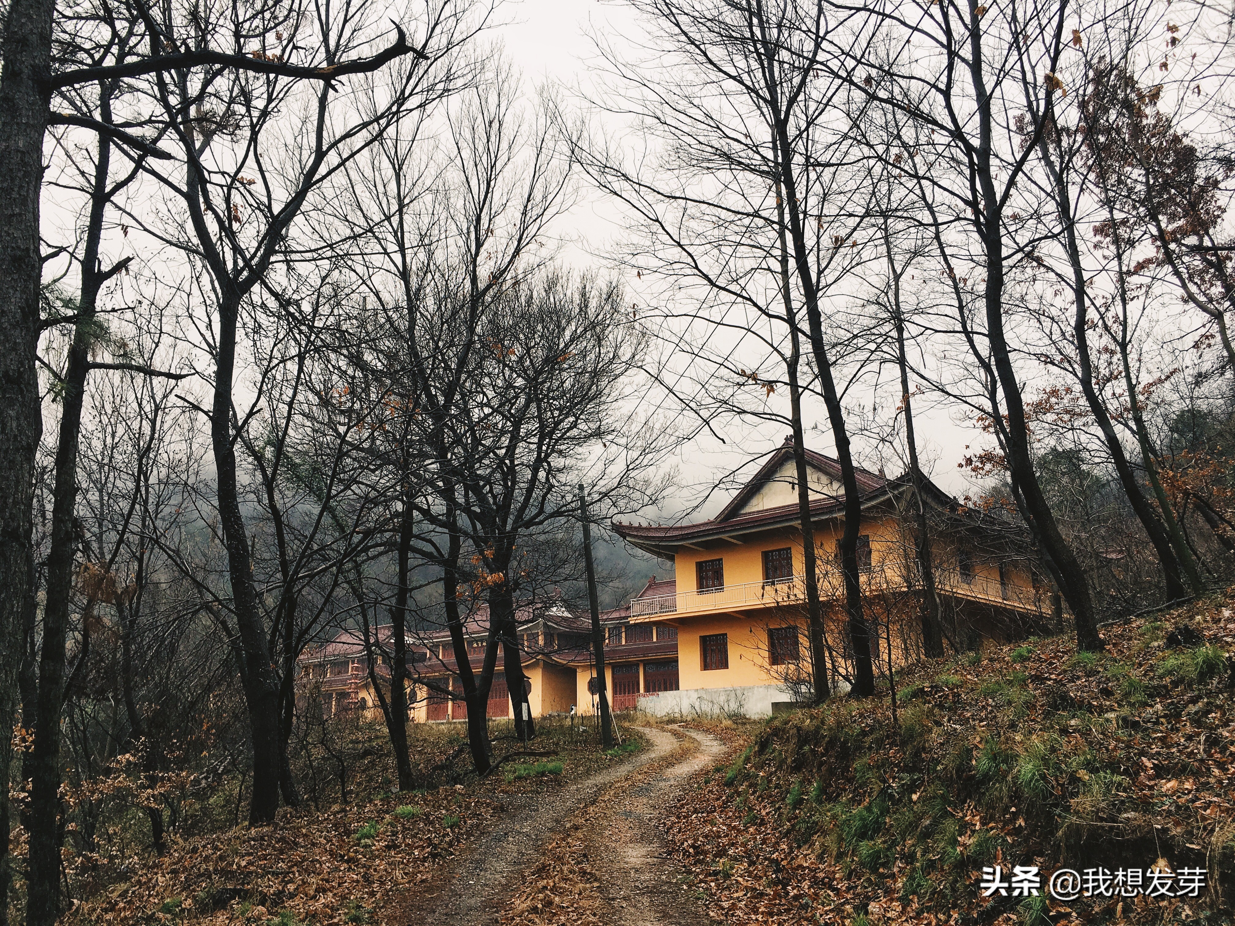 南京浦口隆兴寺简介,南京小众美景闲逛