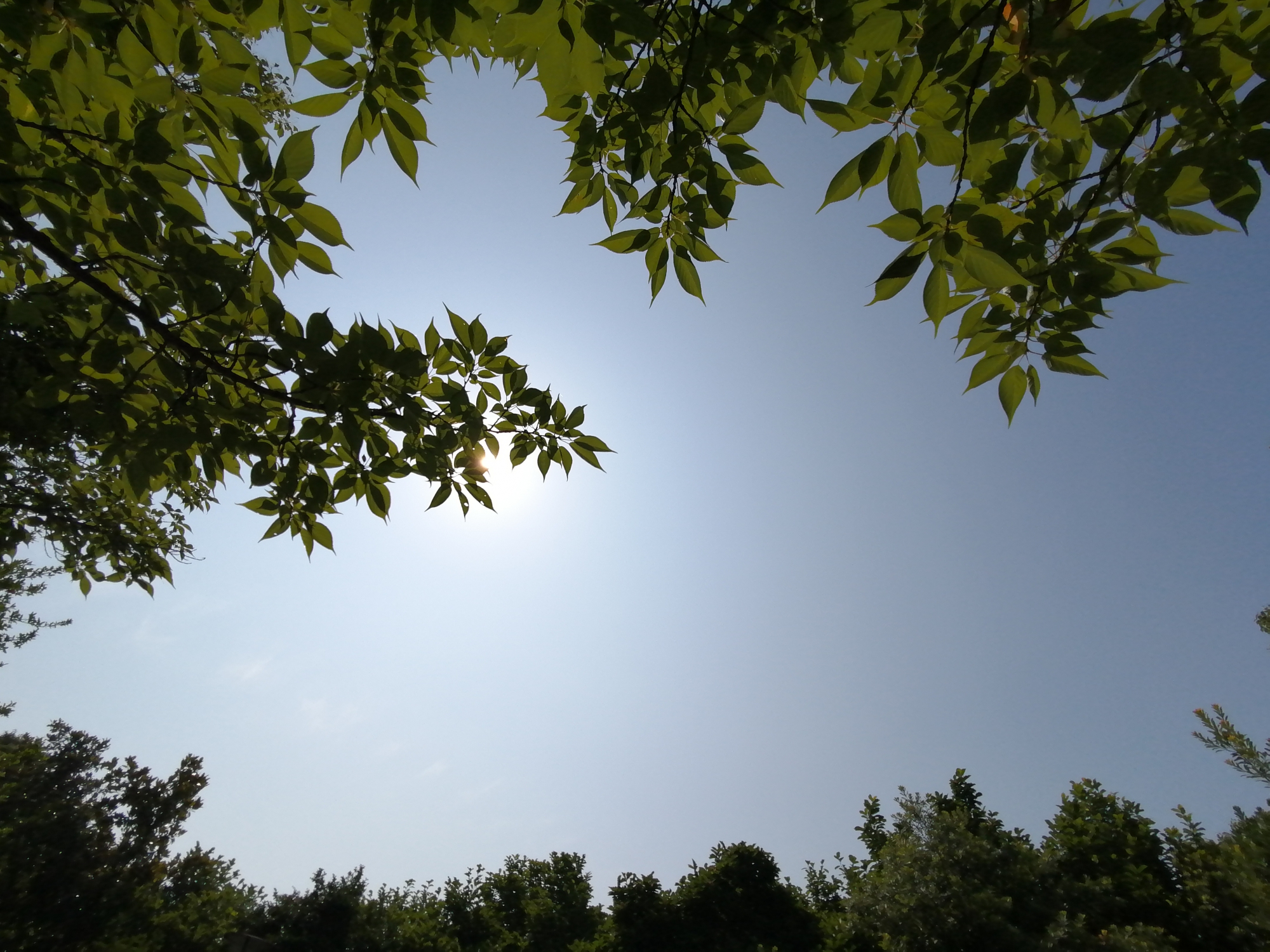 华为麦芒8测评视频,无畏前行3