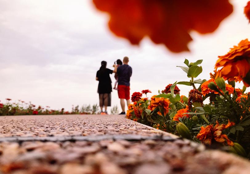 西安公园24小时开放,西安免费儿童玩的公园