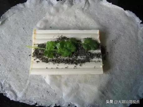 潮汕人出门必吃潮汕茶,潮汕人食茶文化特色