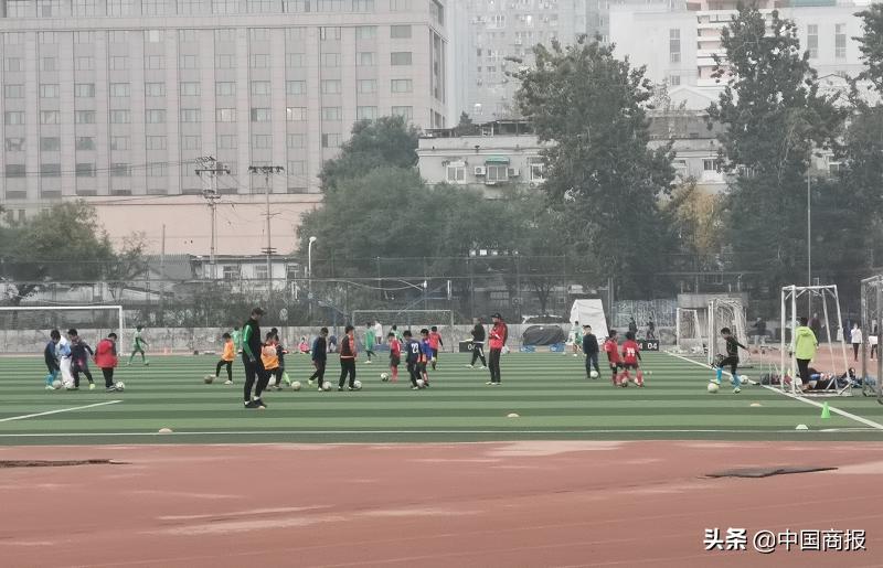 双减下体育培训现状,双减之下体育培训为何升温