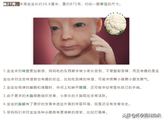 怀孕各个时期胎儿发育过程,怀孕的过程要几天