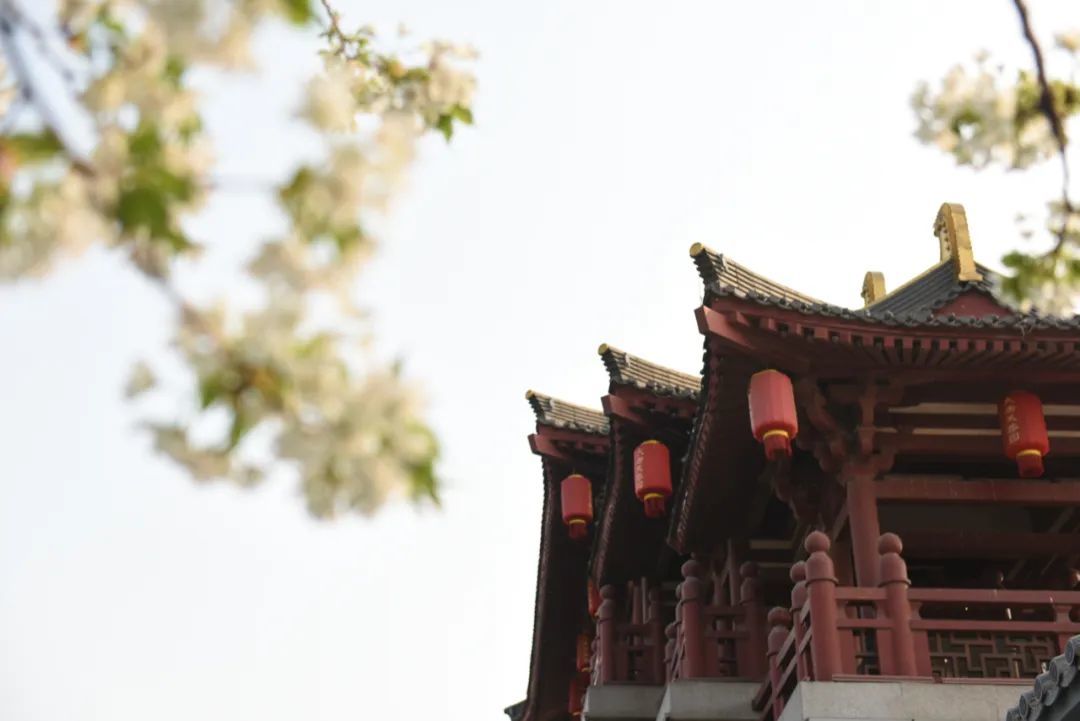 西安旅游全攻略现在的西安人多不,西安人的西安旅游攻略图片