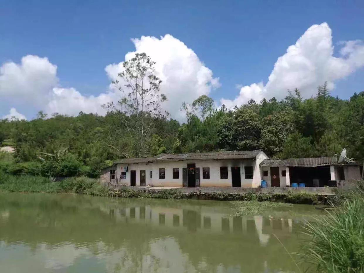 开心部落视频,开心部落平凉