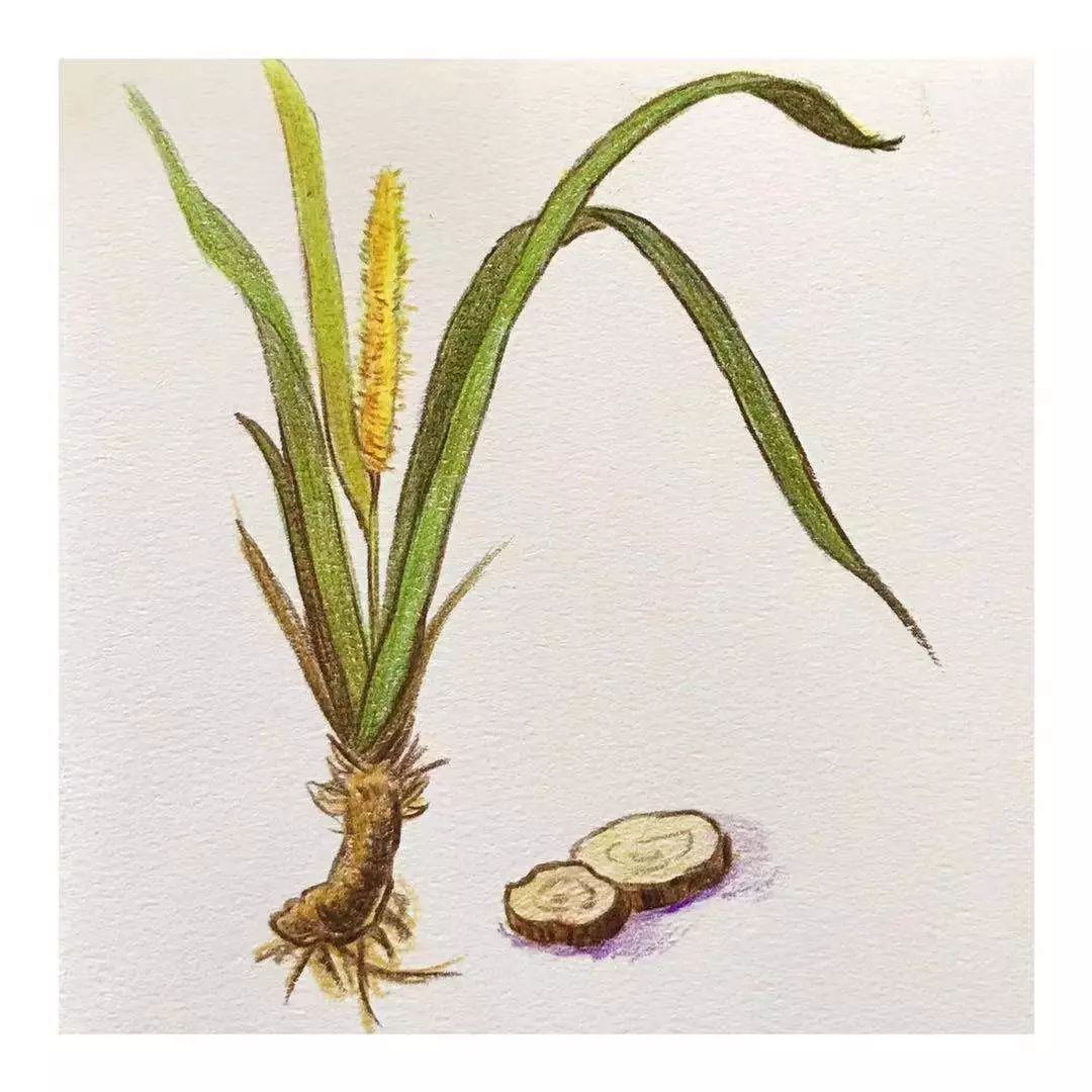 送你几味“聪明药”！……