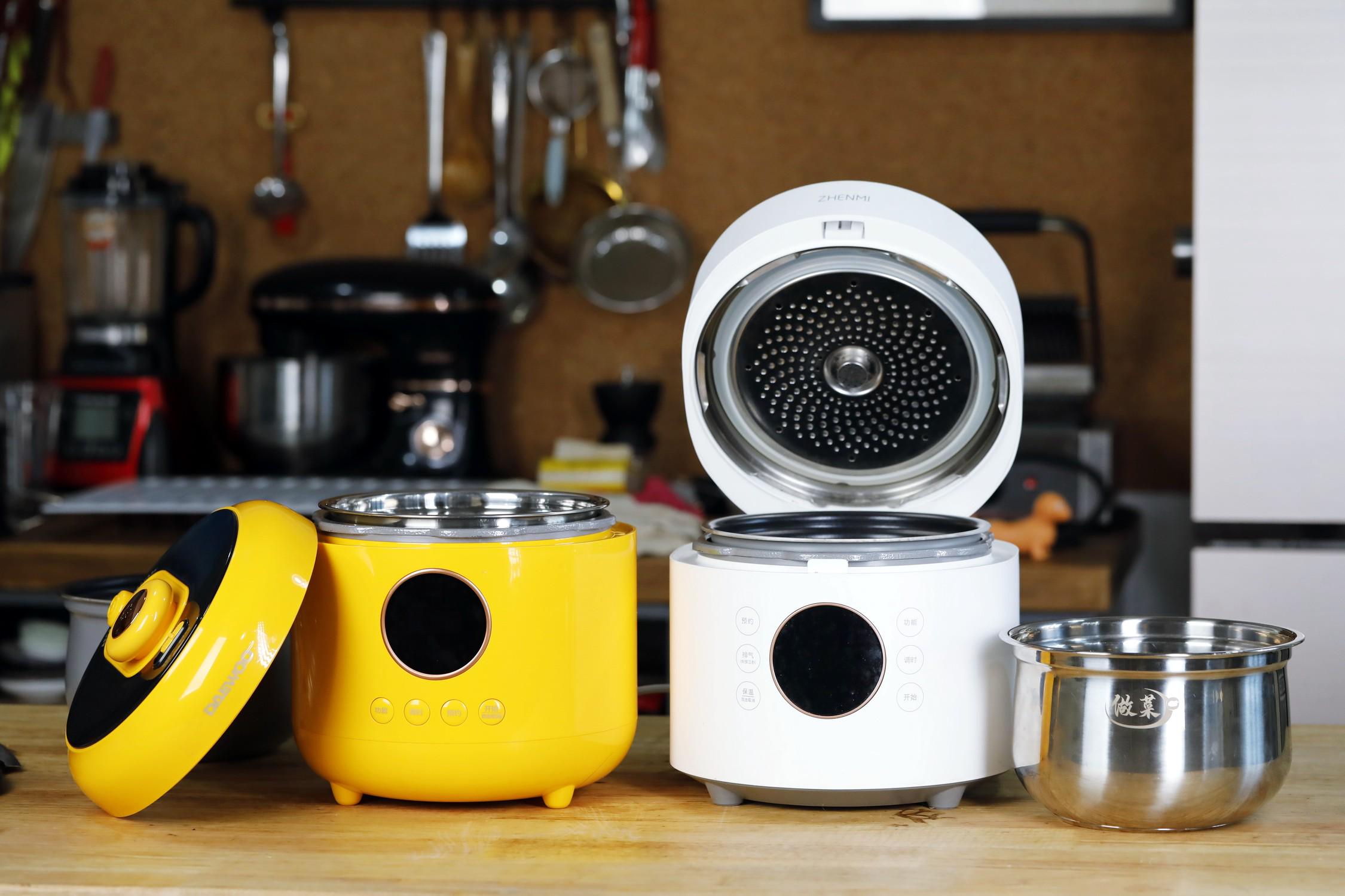 蒸煮两用电压力锅哪个牌子好,家用压力锅和微压锅哪个好