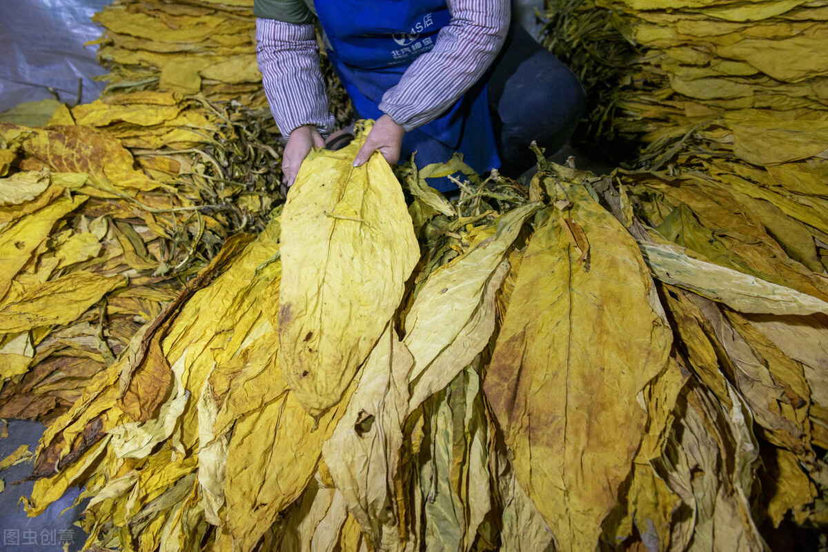 超级聚宝盆,超级大聚宝盆