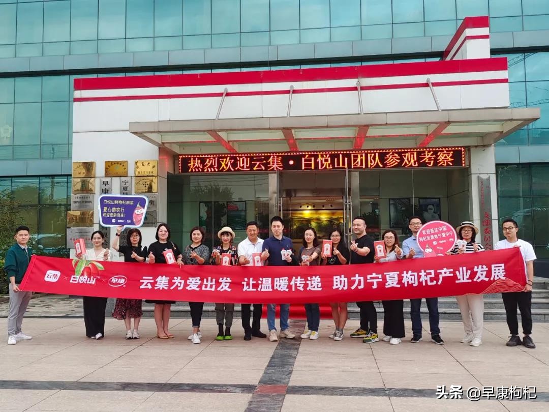 宁夏中宁县早康枸杞,早康枸杞宁夏中宁