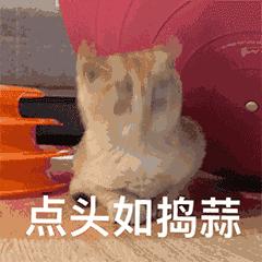 重庆新桥医院和西南医院哪个好,重庆西南医院和华西医院哪个更好