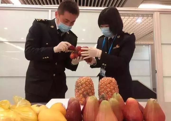 回国带国内禁止的东西怎么办,回国过海关什么东西不能带