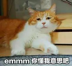 没买房有什么新政策,没买房最好的消息