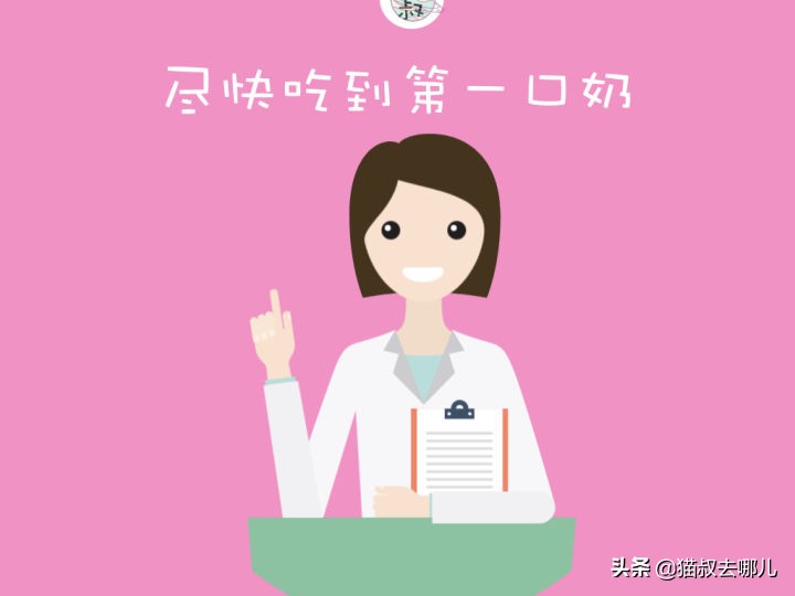 养猫怎么养大小猫,养猫怎么才能养好小猫咪