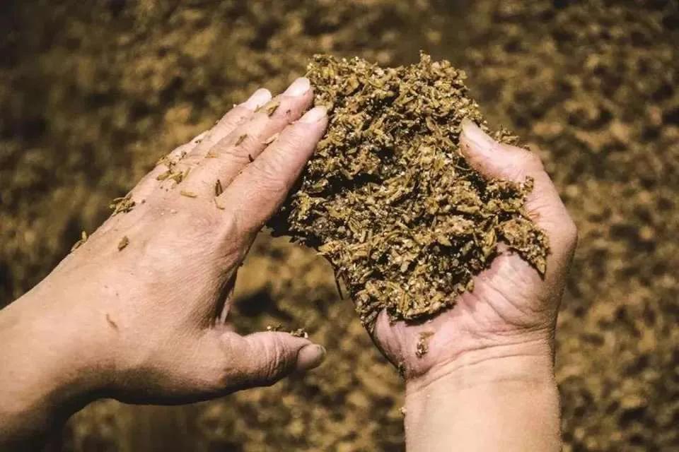 古井贡酒十年陈酿500毫升曹操瓶,古井贡酒纪念曹操