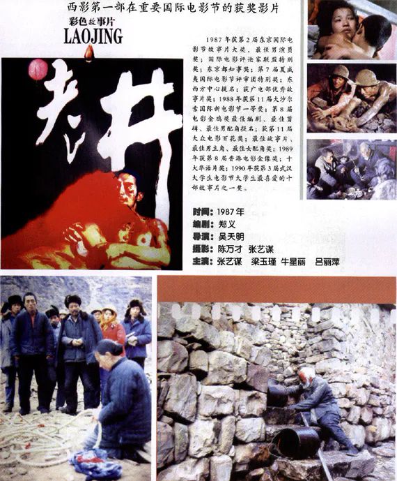 吕丽萍三次婚姻,42岁吕丽萍二段婚姻失败