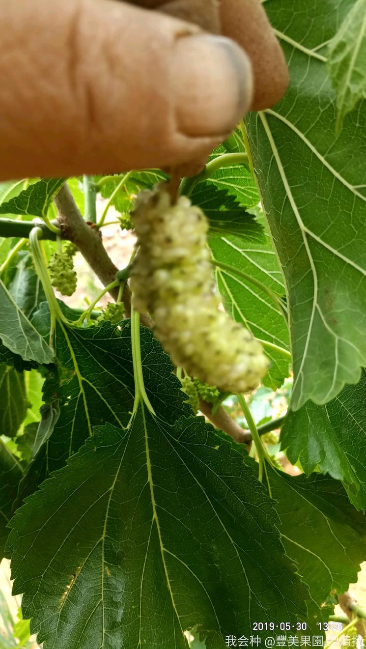 诗和远方在身边完整版,诗和远方在身边