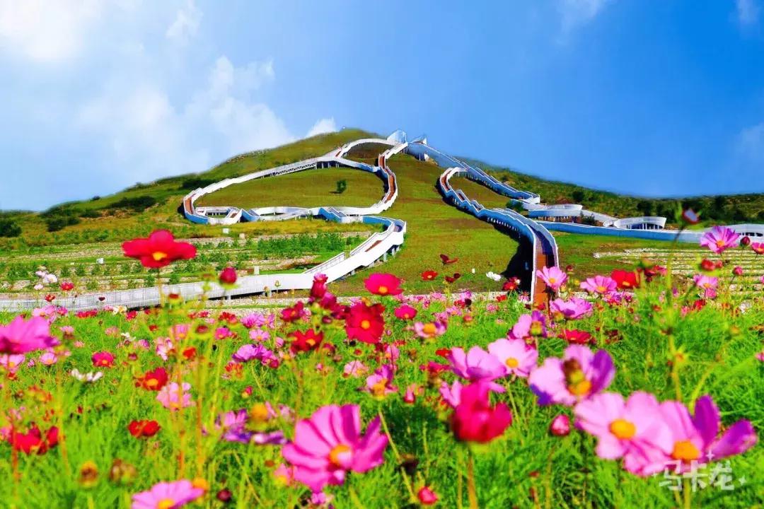 兴安盟的红色文化,文博灯光艺术节