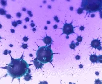 猫咪软便但是能吃能喝怎么办,猫咪为什么会软便