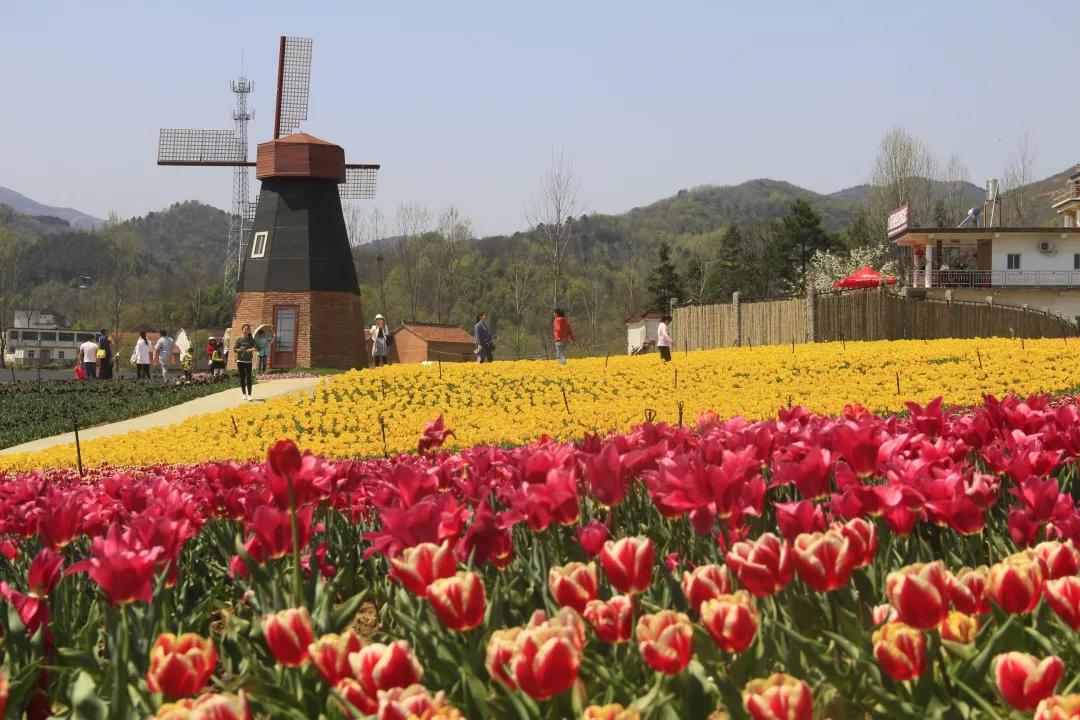 抗击疫情西安临潼在行动,抗击疫情路上我们在行动