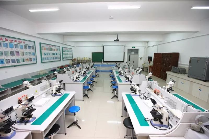 实验室家具安装教学,实验室家具设计流程