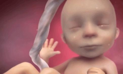 孕35周胎儿胎动频繁怎么看缺氧,怀孕33周胎动频繁缺氧怎么处理