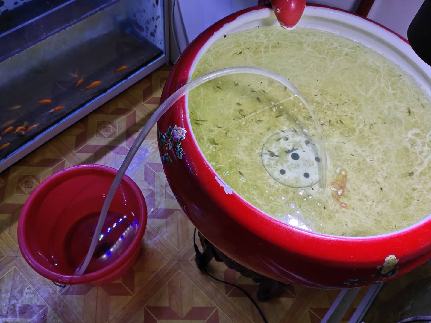 怎样去除鱼缸内壁污物,鱼缸底部脏东西循环不出去怎么弄