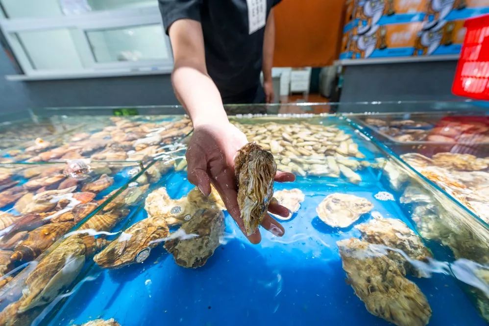 大连人都喜欢的平价海鲜超市，现捞现歹不是梦