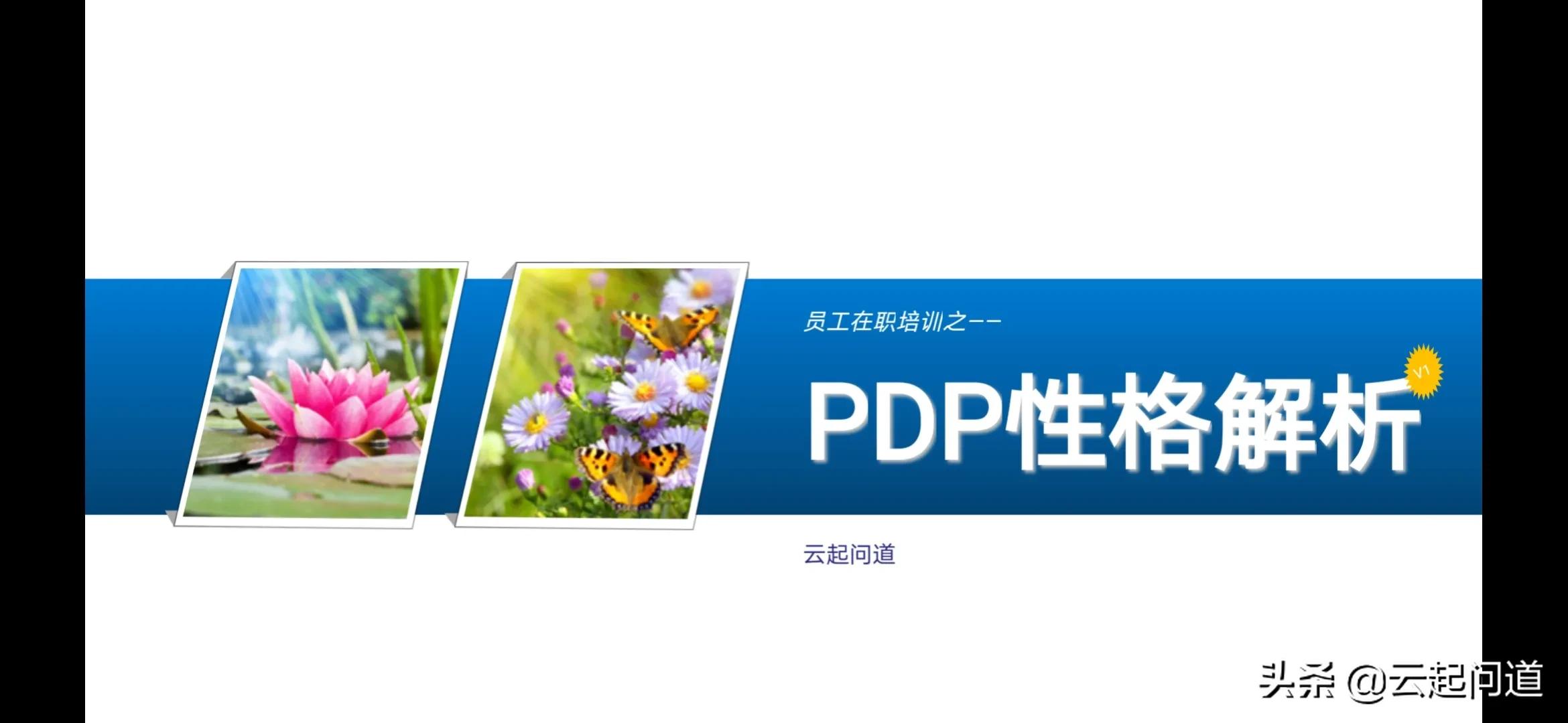 pdp性格测试准吗,pdp性格测试问卷