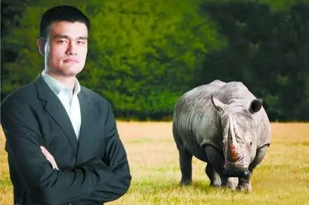 没有买卖就没有杀害这句话对吗,没有买卖就没有杀害翻译英文