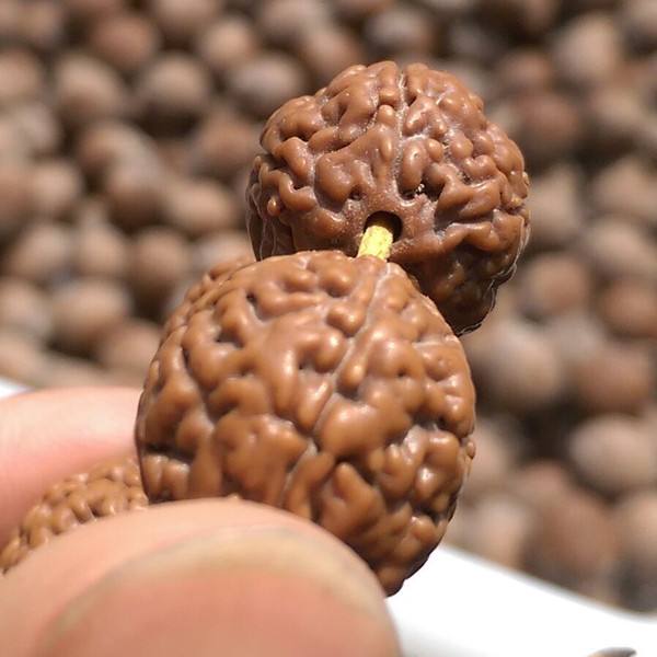 金刚菩提最全纹路解析,大金刚菩提纹路种类图解