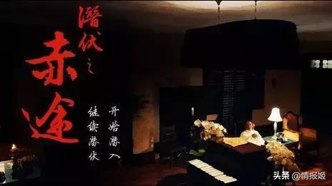 隐形守护者制作组为何解散,隐形守护者制作团队解散了吗