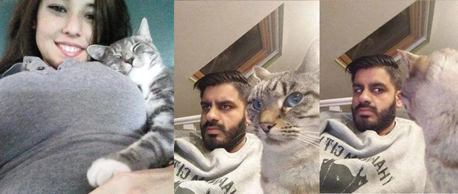 小时候养的宠物现在还活着,小时候养的宠物视频