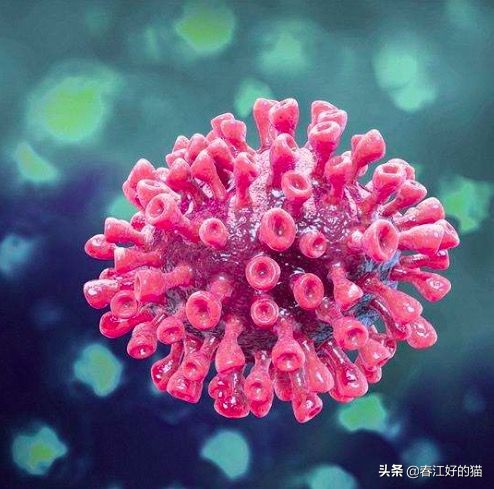 神奇!澳又一确诊痊愈!专家透露治疗过程,吃这款常用药+喝水