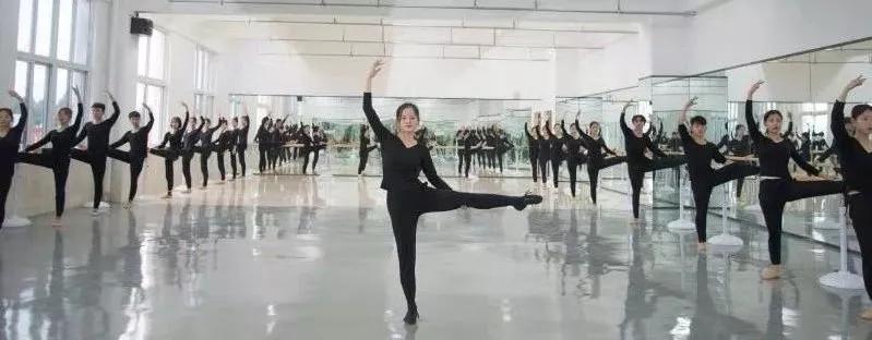 西南第一专科学院,四川汽车类位次7200单招学校推荐