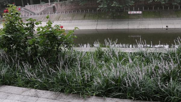 3-6岁儿童滑板车入门推荐,9号儿童滑板车e8使用方法