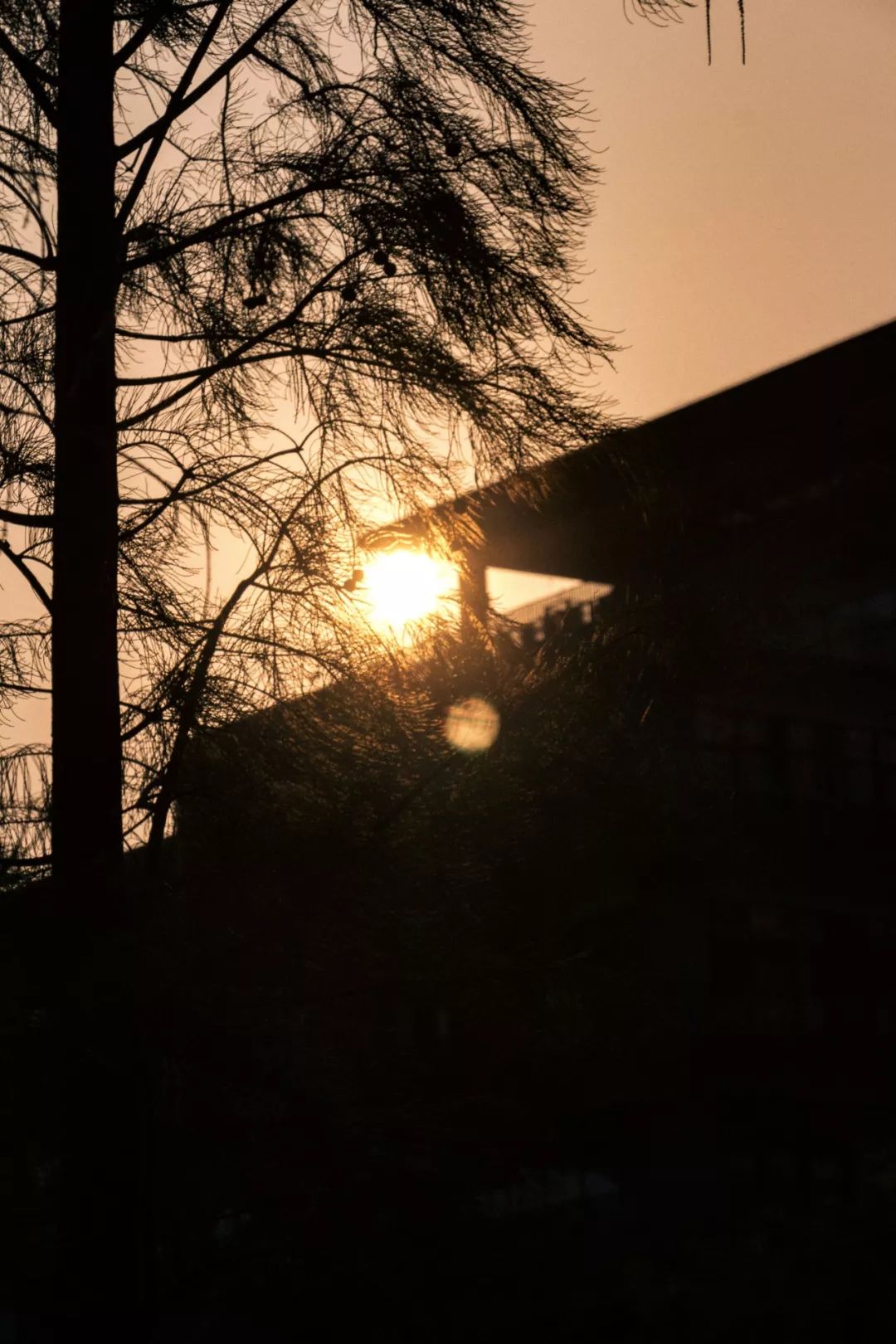 深圳宝安喝茶的世外桃源,宝安西乡世外桃源