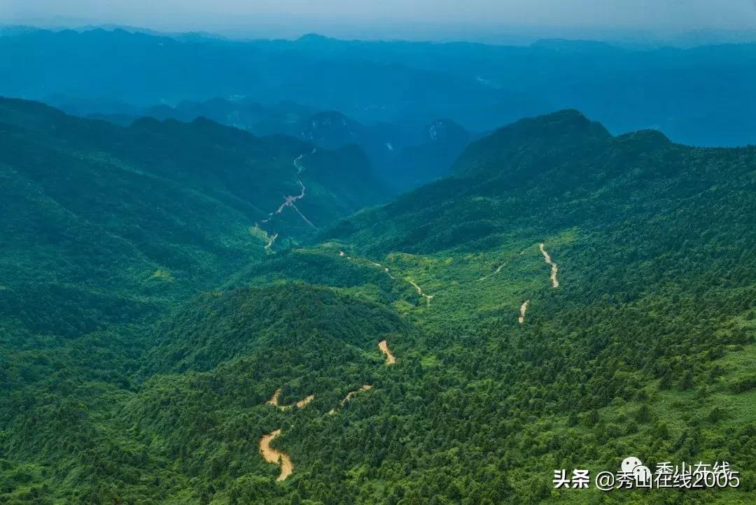 当天就能打来回！秀山县城周边这些避暑胜地，景美还凉快