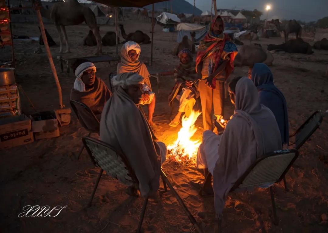 津门网徐屹：印度骆驼节上的人们（上）