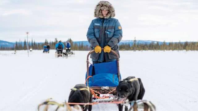 高级玩雪方式，汪星人从挪威一路拉你到瑞典，300公里不在话下