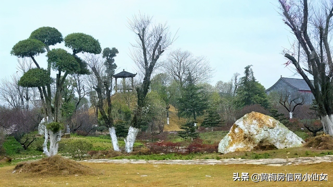 小池带大家去哪里玩,小池旅行哪里划算