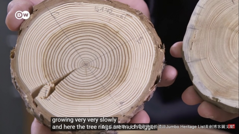 第4027回:气候*弹炸**亚洲纸浆,水上烟泥炭地退化