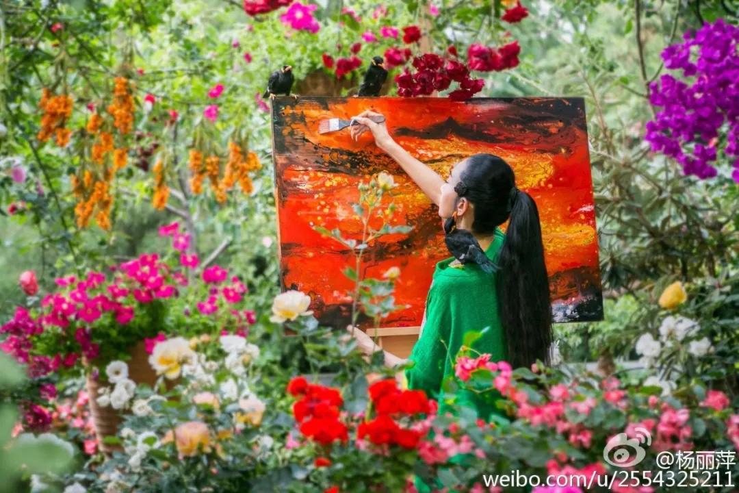 有一种向往叫西双版纳,有一种向往叫诗和远方完整版