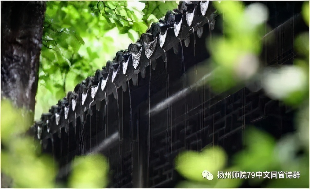 【老师去了，我每年来摩挲老师家的杨柳】